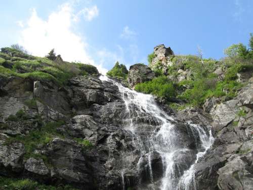 Waterfall Nature Creek Cascade Scenic Summer