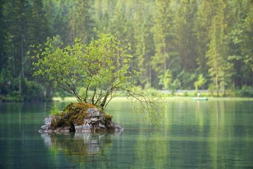 Waters Nature Lake River Water Landscape Forest