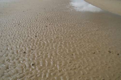 Watts North Sea Ebb Low Tide Beach Sand Structure