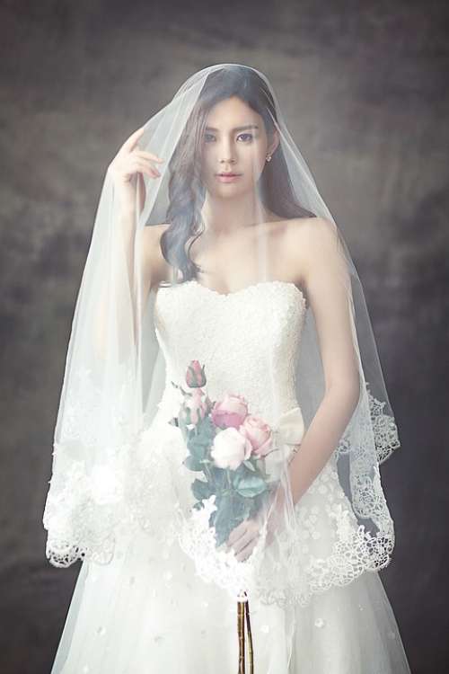 Wedding Dresses Fashion Bride Veil White Dress