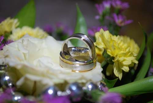 Wedding Rings Marriage Wedding Trust Marry Rings