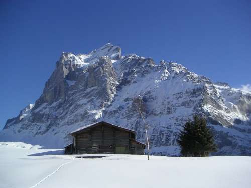 Wetterhorn Grindelwald Winter Switzerland Alpine