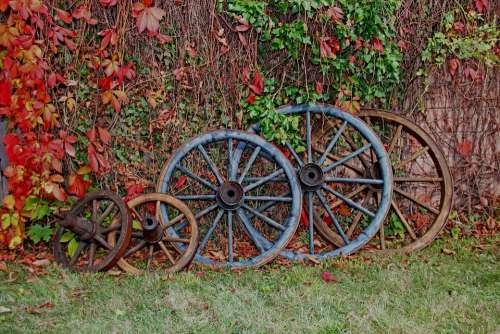 Wheel Wooden Wheel Autumn Nature Leaves Blue
