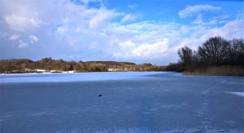 Wiesensee Frozen Ice Cold Winter Lake Winter Magic