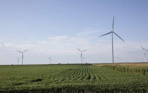 Wind Turbines Field Farm Power Windmill Landscape