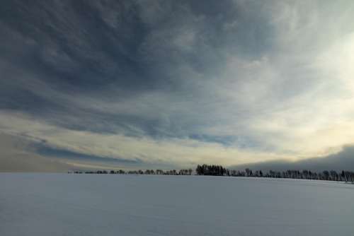 Winter Hilme Altenberg Saxony Snow