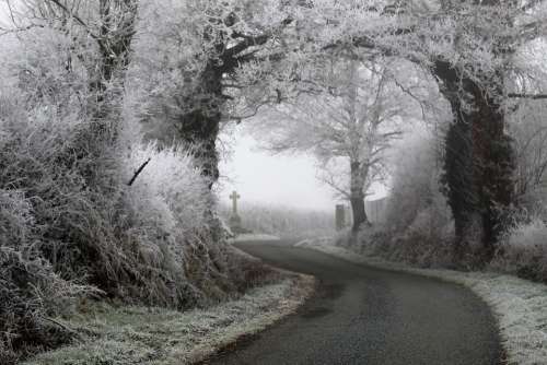 Winter Road Gel Cold Landscape Trees Season