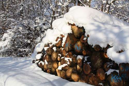 Winter Snow Firewood Forest Trees Snow Landscape