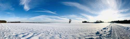 Winter Snow Nature Landscape Cold Snowfall