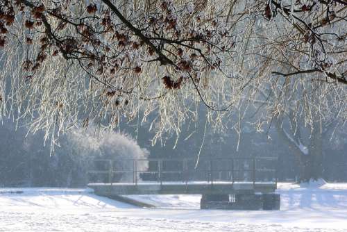 Winter Frost Park Park In Winter