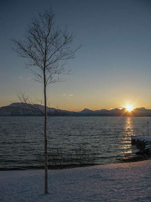 Winter Sunrise Birch Snow Sky Landscape Norway