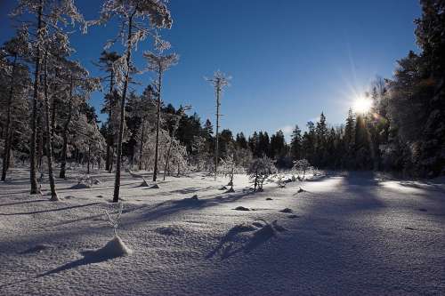 Winter Snow Cold Landscape Østmarka Norway