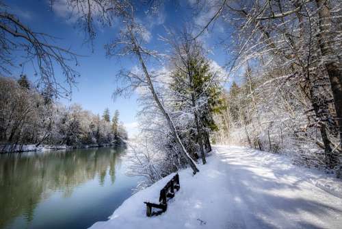 Winter Snow Nature Landscape Wintry Tree Cold