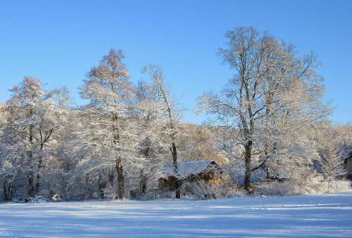 Winter Parklandschaft Snow Frost Blautöne