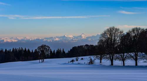 Winter Snow Twilight Trees Landscape Alps
