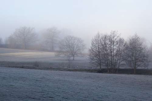 Winter Mist Fog Field Morning Rural Tree Frost