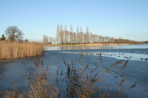 Winter Frozen Lake Holland Cold Netherlands Water