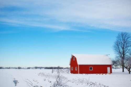 Winter Barn Snow Rural Farm Red Country