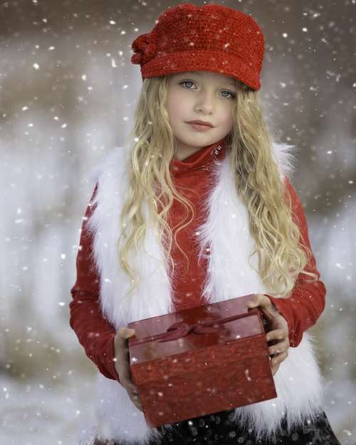 Winter Wonderland Red Snow Cold Season Christmas