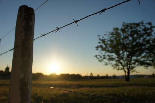 Wiring Fence Barbed Wire Barbed Wire Fence