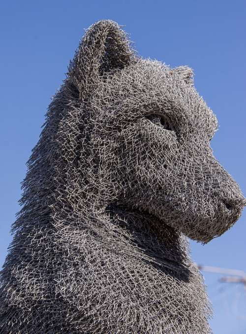 Wolf Sculpture Art Head Face Wire Metal Grey