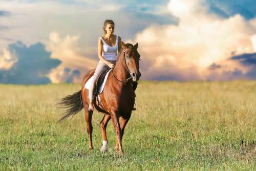 Woman Riding Horse Animals Mare Jockey Blonde