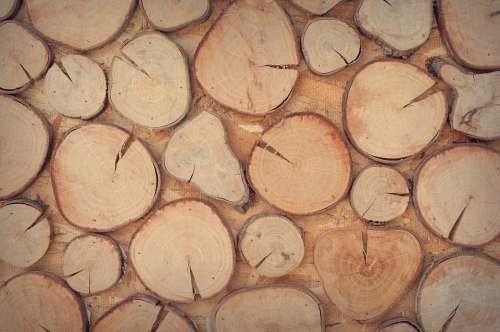 Wood Logs Wooden Wall Decoration Design Surface