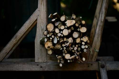 Wood Stored Cut Firewood