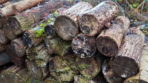 Wood Stack Weathered