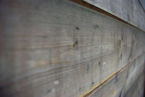 Wood Board Perspective