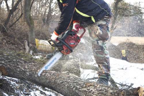 Wood Trim Felling The Woodcutter Chainsaw Axe