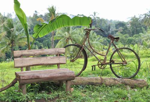 Work Of Art Bicycle Bench Landscape