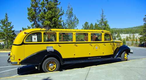 Yellowstone Park Yellow Bus Bus Antique Wyoming