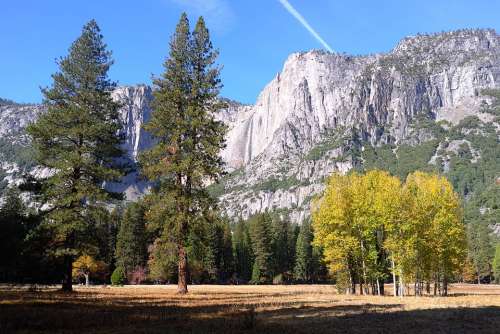 Yosemite National Park Wood Landscape Nature