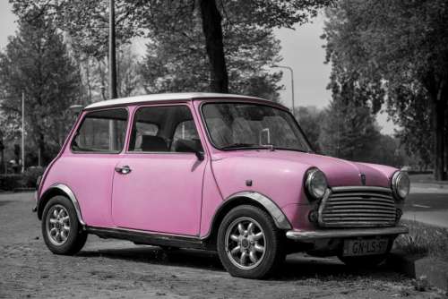 Pink mini