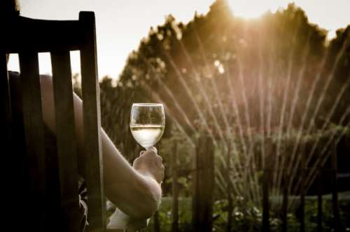 Summer evening, drinking wine