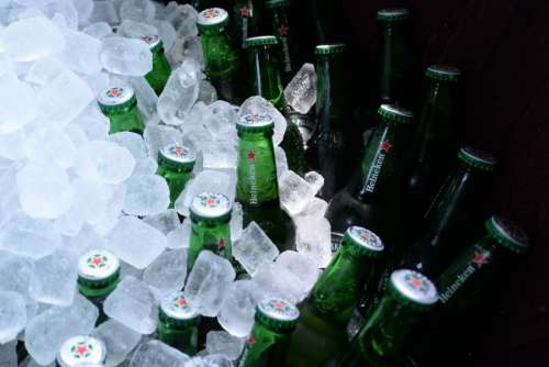 Cooled beer bottles