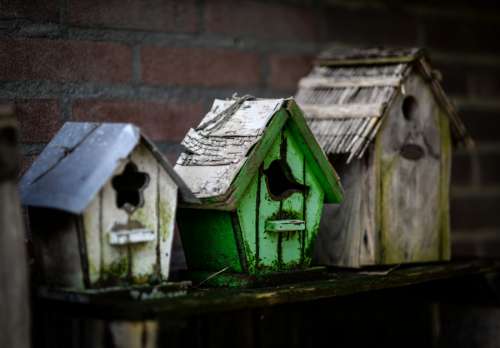 Bird houses