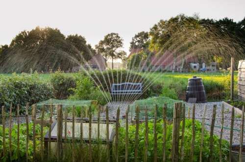 Sprinkling the kitchen garden