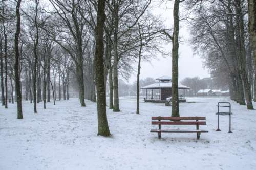 Winter in The Netherlands