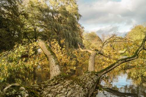 Autumn storm