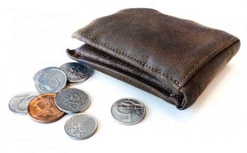 Wallet with coins