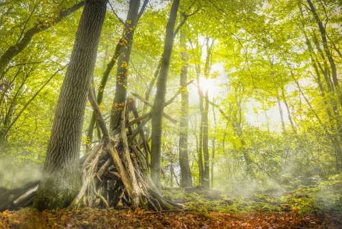 A hideout in the woods