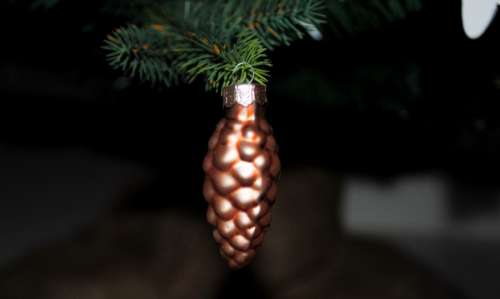 Xmas pine cone