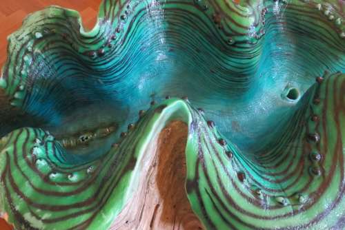 giant clam (model) texture