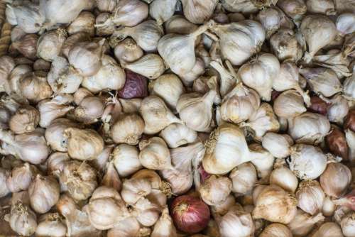 Garlic in a grocery store