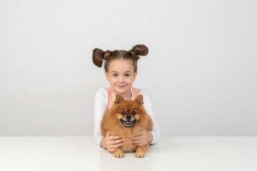 Kid Girl Holding Spitz Dog