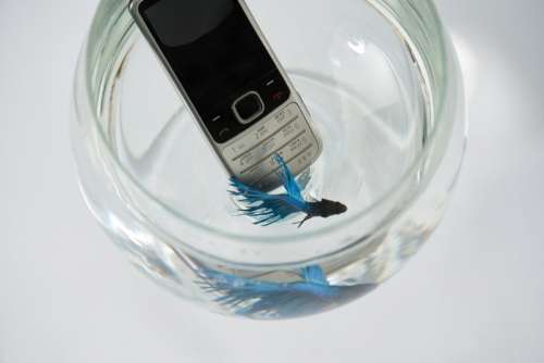 Tips For Your Drowned Cell Phone