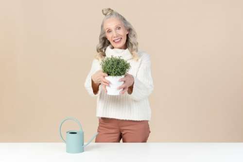 Old Woman Holding A Green Plant In Pot