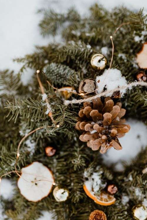 Winter Wreath